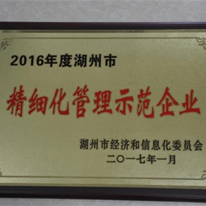 湖州K8凯发 市精细化管理示范企业